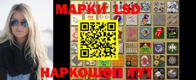 индика Жуковский