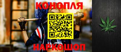 индика Жуковский