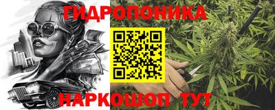 индика Жуковский