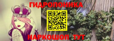 индика Жуковский